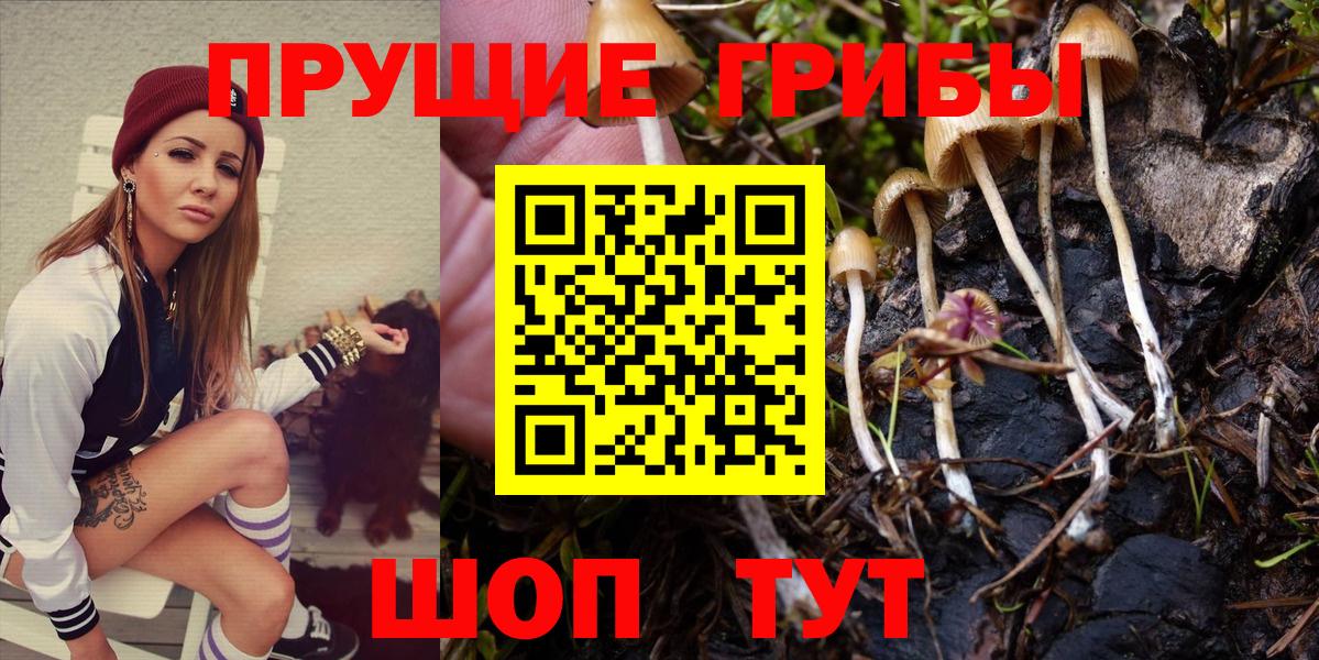 Псилоцибиновые грибы мухоморы  Вход с VPN  Псилоцибиновые грибы Cubensis  купить наркотик  Мурино 