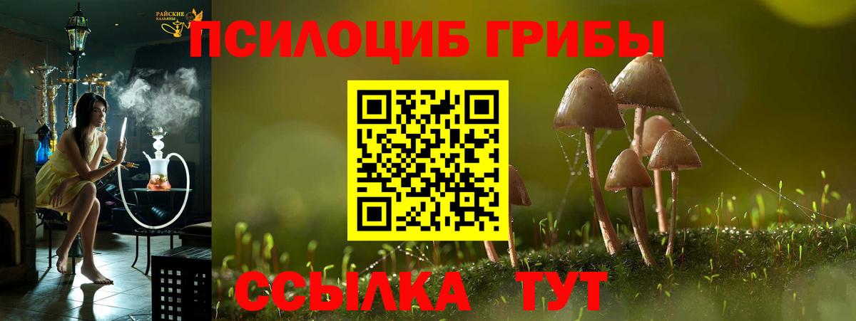 Кокаин Мурино