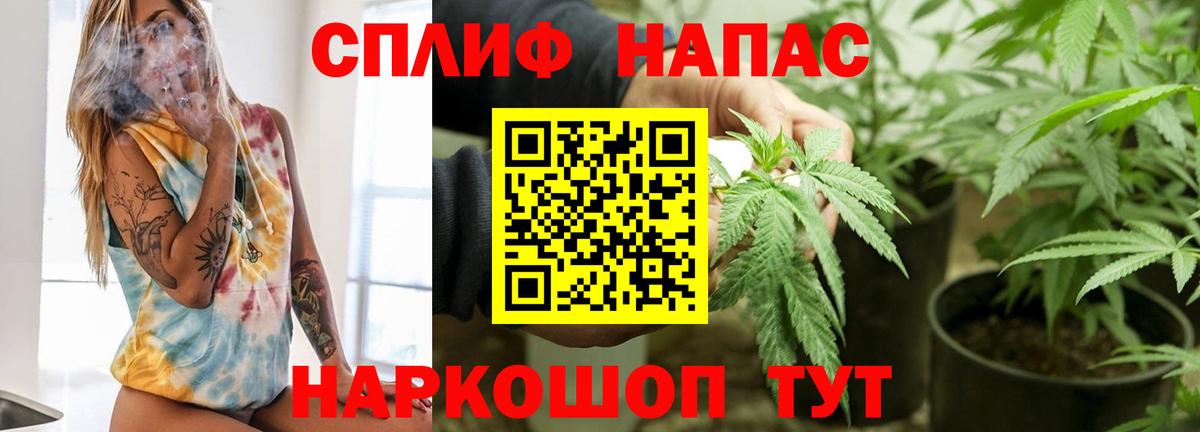 Шишки марихуана гибрид Мурино
